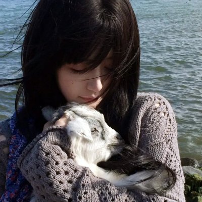 寅次郎的故事30 寅次郎落英缤纷